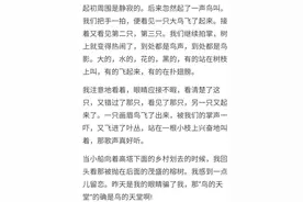 五年级语文《鸟的天堂》练习题图片