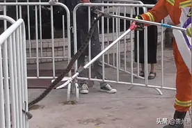 校园惊现大老蛇！在六盘水！图片