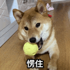 һֻҪǮ
