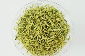 怎样预防金银花苗木被蚂蚁啃食呢 , 专家有小妙招图片