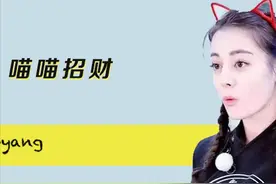 艾小羊：寻猫图片