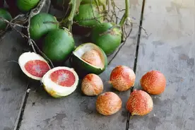 为什么要停止槟榔广告？这个小绿果到底有多危险？图片