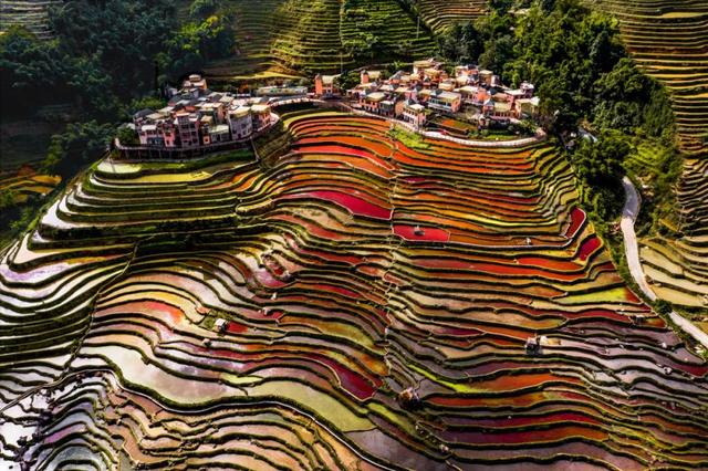 “美好西南·美丽乡村”第十四届中国西南六省区市摄影联展系列活动在弥勒开幕