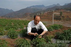 那些献出生命的脱贫攻坚楷模图片