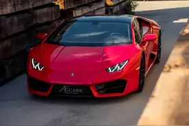 小红牛~高清大图图片