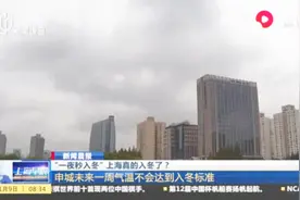 “一夜秒入冬”上海真的入冬了吗？视频封面
