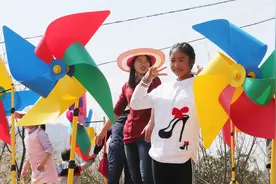 玉米出苗易遭野鸡刨食，老农出新招，3物迫使野鸡远离农田图片