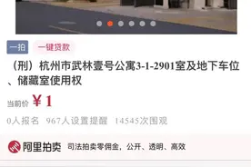 老牌豪宅武林壹号1元起拍，透露出财富的起落图片
