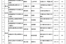合肥首批12个摇号楼盘公示，1623套房源要来，最高卖到3.2万/㎡图片