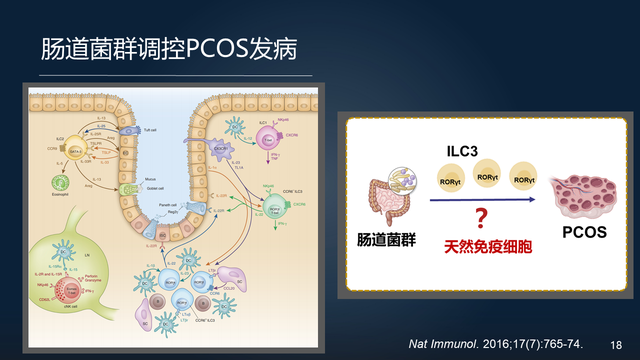 庞艳莉：22分钟详解肠道菌群与代谢疾病