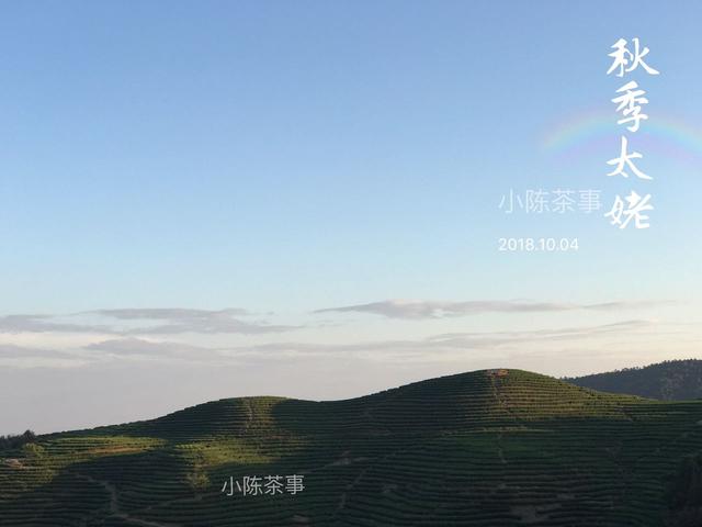 图解老白茶煮茶技巧，掌握这些，茶不仅耐煮还香甜！