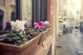 实话说，另一半有了这样的变化，就是你该离开的时候了图片