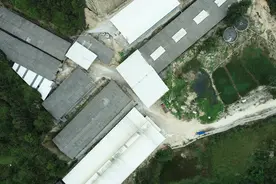 非瘟时代自繁自养模式急需做出调整图片