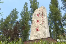 怀仁：小香瓜“闯”出了大市场图片