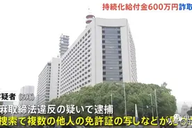 走私大麻、骗取新冠补助金：“怒罗权”成员遭二度逮捕起诉图片
