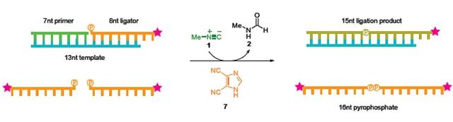 “万世浮华，万宗归一”之异腈