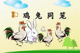 海韵教育丨小学数学趣味学习——鸡兔同笼问题图片