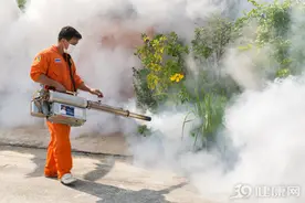 上海已报告9例登革热病例，专家紧急提醒：防蚊是主要防范措施图片
