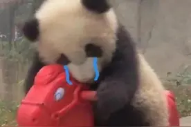 什么？现在年轻人相亲，都要看血型了？O型血姑娘只能找O型血小伙？图片