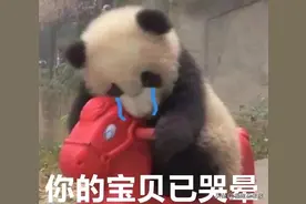 什么？现在年轻人相亲，都要看血型了？O型血姑娘只能找O型血小伙？图片