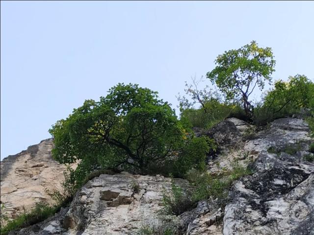洛惠渠——一座不朽的精神灯塔