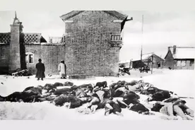 盘点：人类历史上造成大量死亡的6大传染病，有些至今还在肆虐图片