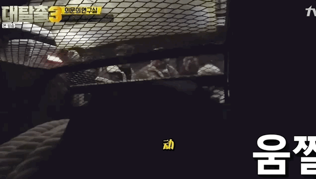 鸡皮疙瘩第一季豆瓣评分