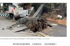 房屋被毁、大面积停电 澳大利亚维州遭遇强风袭击图片