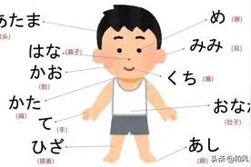 表示人身体部位的日语词汇总结图片