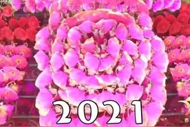 2021春晚最好笑的吐槽段子，都在这一篇图片