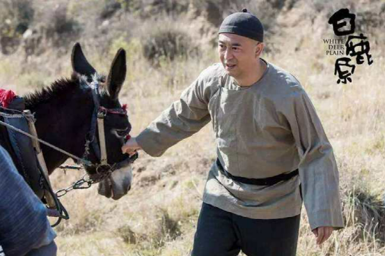 白鹿原电视剧演员表，白鹿原演员表（原定女二被换、董洁戏份被删）