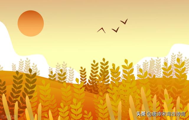 芒种时节，赏析宋代陆游的《时雨》