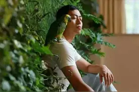 6年前，那个因《最强大脑》爆红的“水哥”，现今过得怎么样？图片