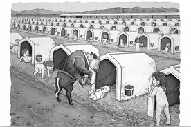 ​16幅人与动物互换角色的插画，画面多残忍，人类就该有多恐惧图片