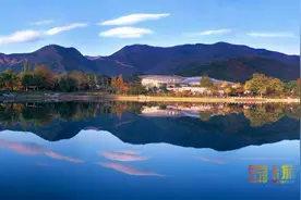 专访北京植物园园长贺然：努力打造国际一流植物园图片