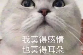 抖音新号快速吸粉模板，一个月粉丝过万图片