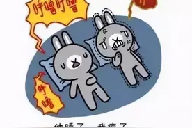 你也许没见过凌晨的日出，但一定听过深夜的呼噜图片