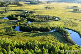 为什么“科尔沁”的名号那么大？图片