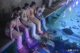水母能翻跟斗会跳舞，海苹果浑身长满刺 海洋生物闹“六一”图片