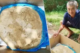 价值百万美元：泰男子海边捡一块臭石头，专家称可能是“鲸大便”图片