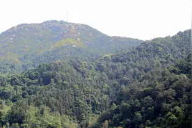 福建省延平区：秀一秀半山云庭顶楼天台竟然还有別样的山野风光图片