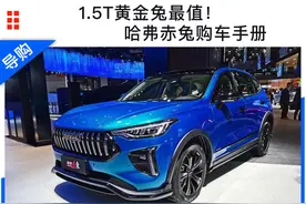 1.5T 黄金兔值得购买 哈弗赤兔购车手册图片