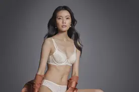 黛安芬最奢华、顶级的3大内衣系列诞生，刺绣、蕾丝工艺再升级！图片