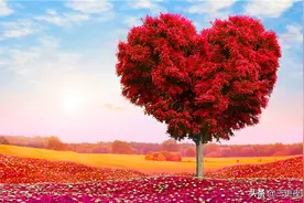 福兮祸所依，祸兮福所伏图片