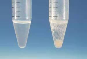 EDTA螯合钙、糖醇钙等五种钙肥大PK，让作物长得更快更健康