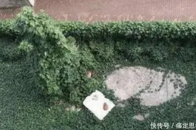 一女子晒被子被风刮到楼下，看到被子后连忙拿出手机拍照发朋友圈图片