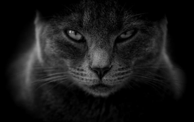 心理学家:如果你总是喜欢说这3句话,说明心底的戾气很重