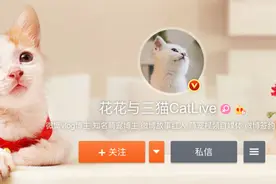 B站up主“花花与三猫”停更，到底能不能买后院？图片