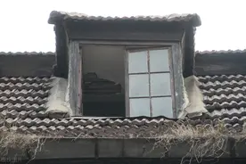 那个女孩（四）图片