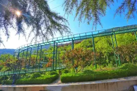 玻璃滑道到底有多危险？不建议玩！外出旅游，安全记心上图片